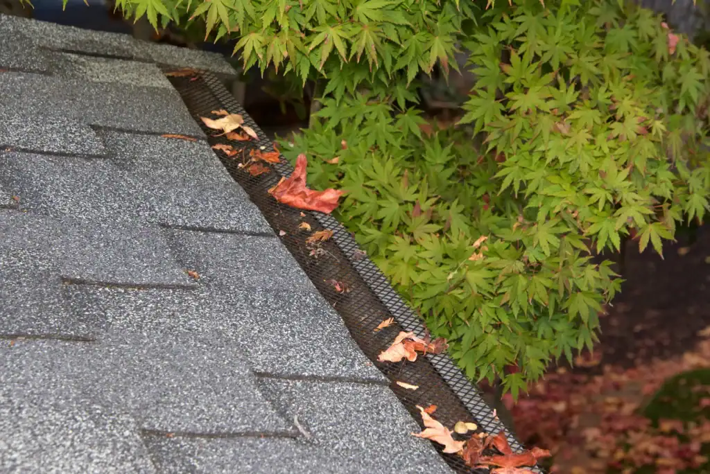 Do Gutter Guards Work in Colorado